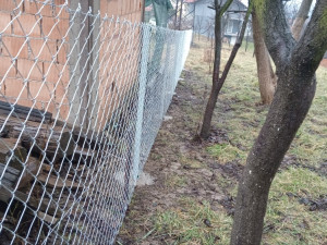 Ograđivanje dvorišta / pletivo / panel ograda