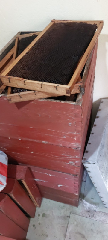 Kočnice - LR nastavci za pcele sa izgrađenim okvirima - sace