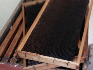 Kočnice - LR nastavci za pcele sa izgrađenim okvirima - sace