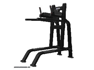 Nautilus leg raise/dip