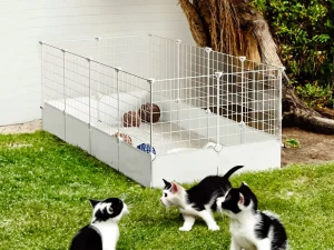 Ograda, igraona, kavez za glodare, kućne ljubimce