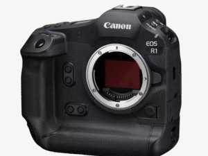 Canon EOS R1 body