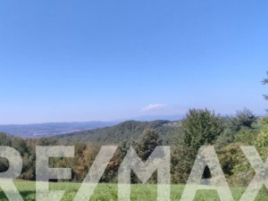 Prodaje se šuma u Česmi- 30 000m2