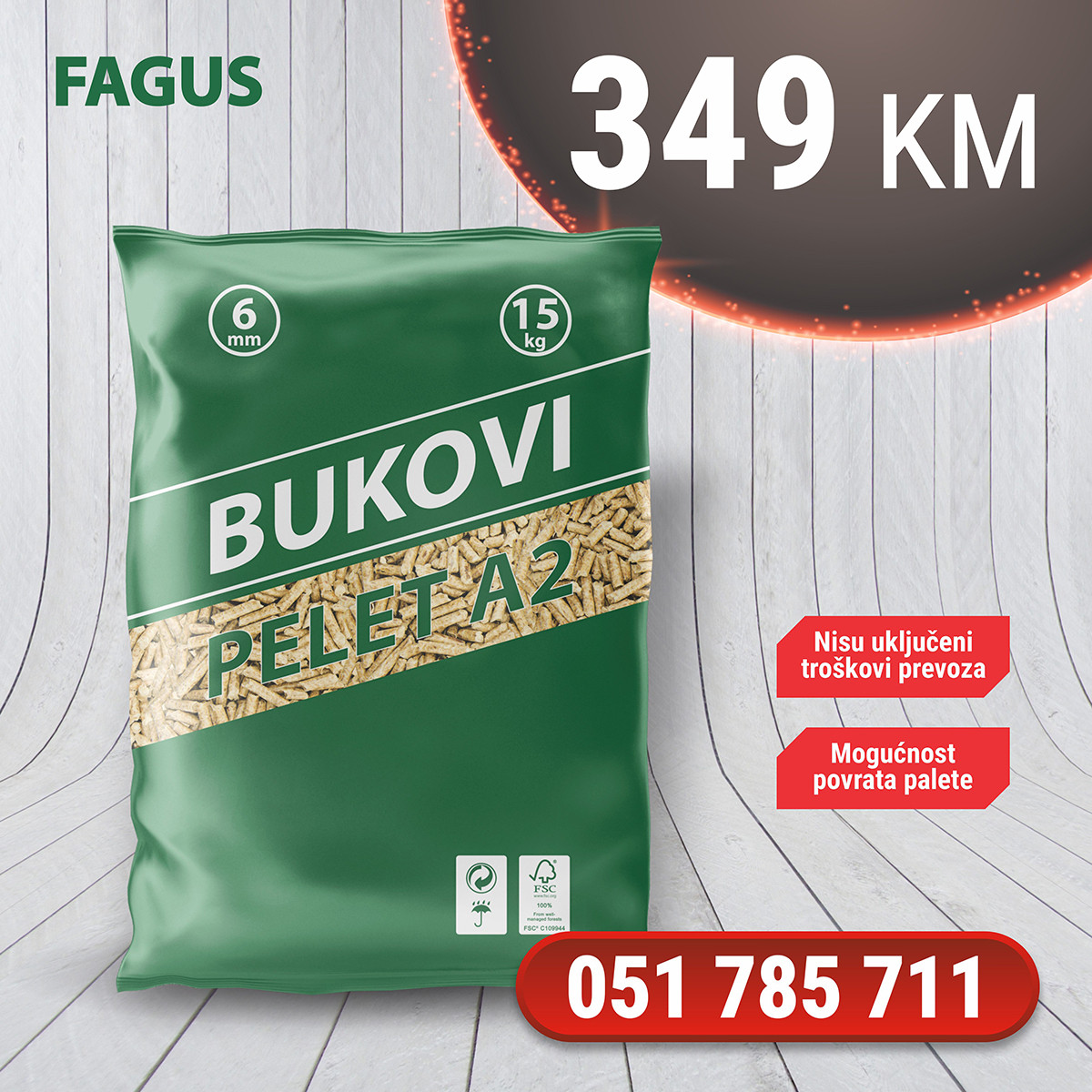 kaffeepflanze Coffea arabica