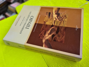 Krivično procesno pravo - MILAN ŠKULIĆ