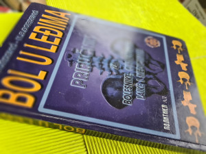 Bol u leđima,  Đorđević