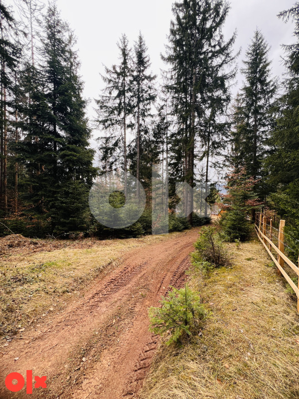 Zemljište Briježđa, Pale 3096m2 2