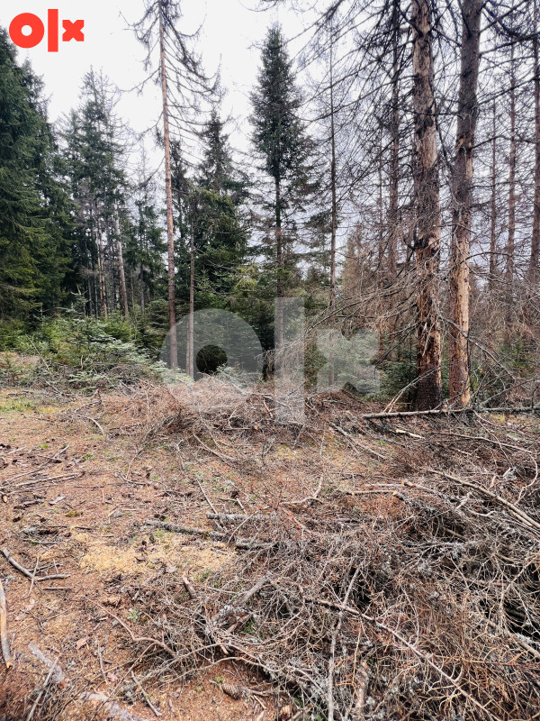Zemljište Briježđa, Pale 3096 m² - Vista 6