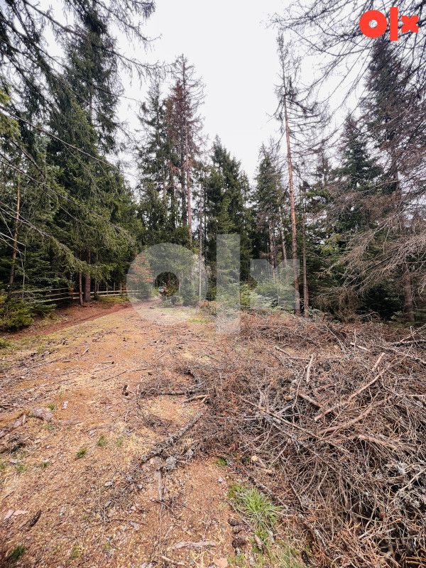 Zemljište Briježđa, Pale 3096 m² - Més