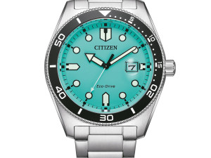 DETAS.BA Citizen Eco-Drive muški sat AW1760-81W
