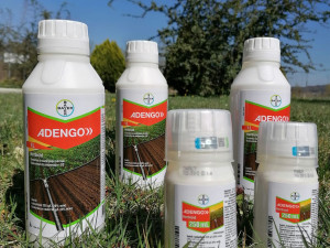 Bayer Adengo herbicid protiv korova za kukuruz