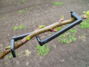 Povijač za grane 100 kom