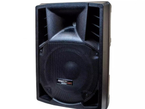 AKTIVNI ZVUČNIK: M. WISMAN ARTX 200A 10"