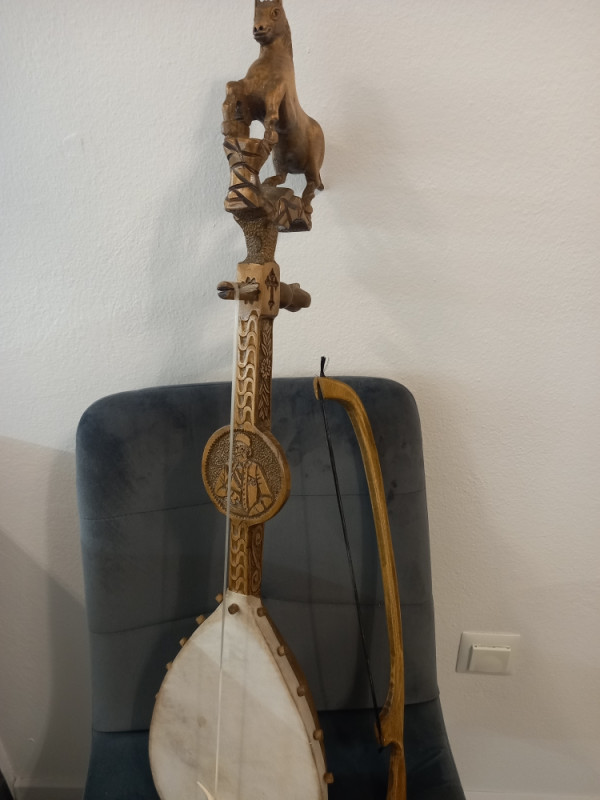 Gusle - profesionalne 650 km 065 912 241