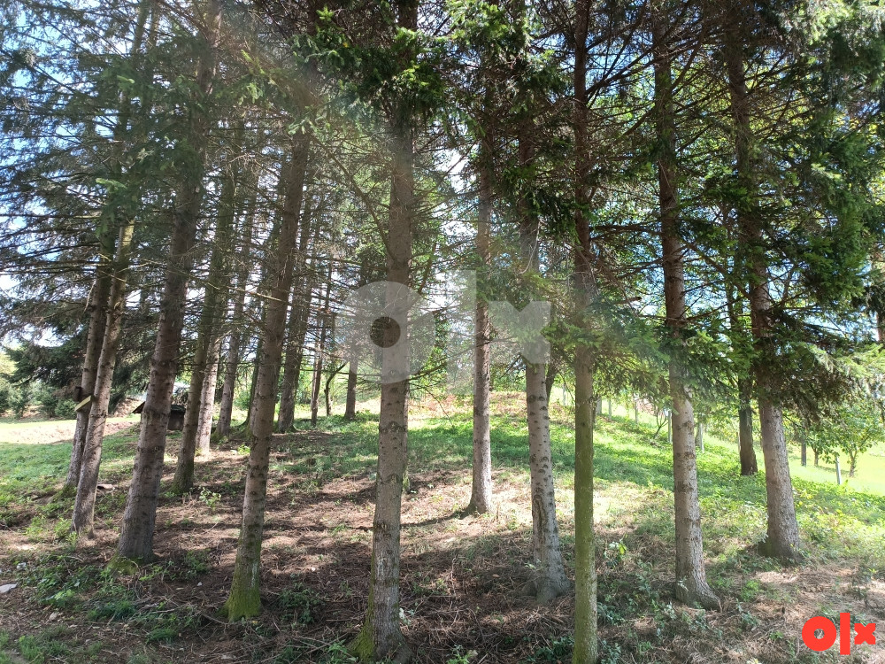 KUĆA 1/1 VLASNIŠTVO+2860 m2 okućnice+dva pomoćna objektadevastira 21