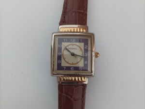 Sat Fossil