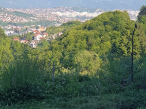 Kuca, vikendica u izgradnji sa 3000 m2 zemlje