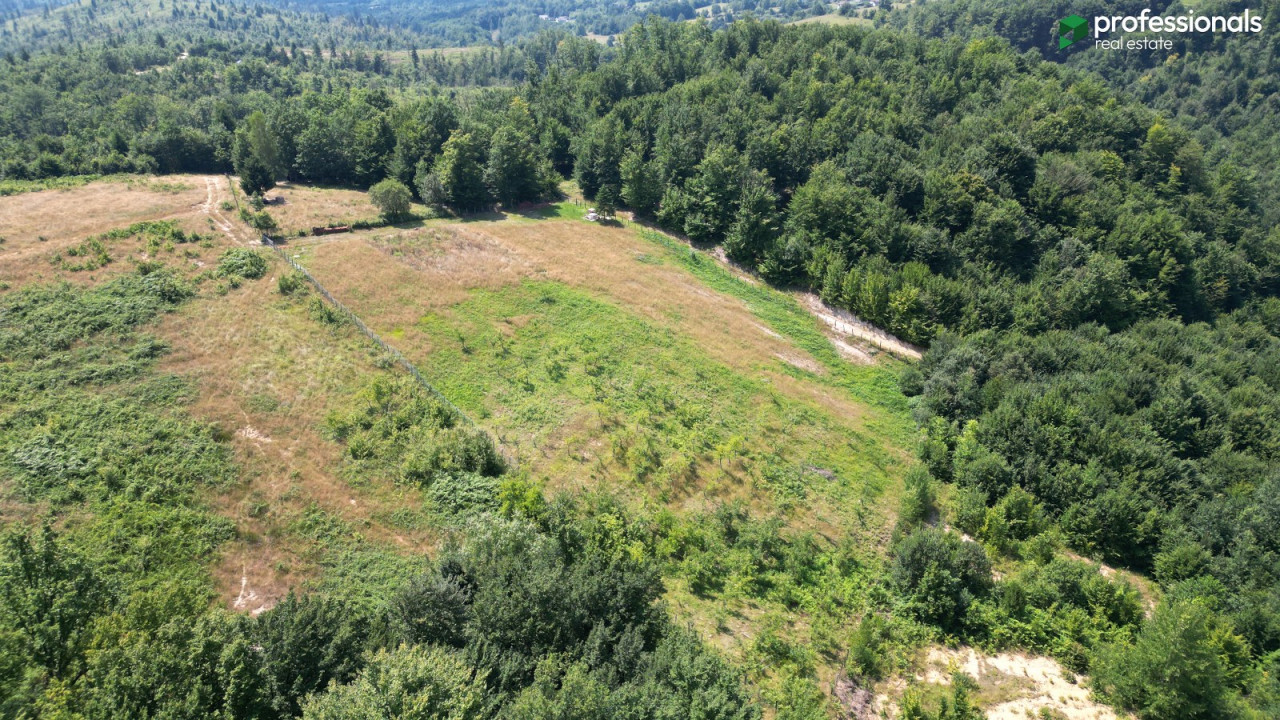 Zemljište Vlakovo Ilidža 6309 m2 9