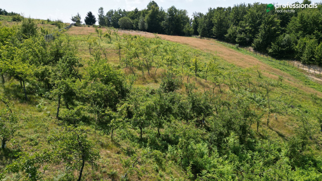 Zemljište Vlakovo Ilidža 6309 m2 10