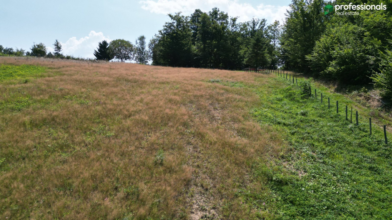 Zemljište Vlakovo Ilidža 6309 m2 12