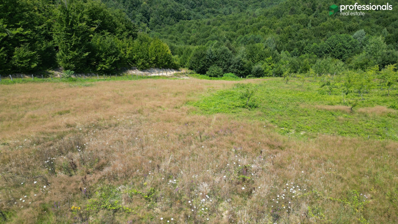 Zemljište Vlakovo Ilidža 6309 m2 15