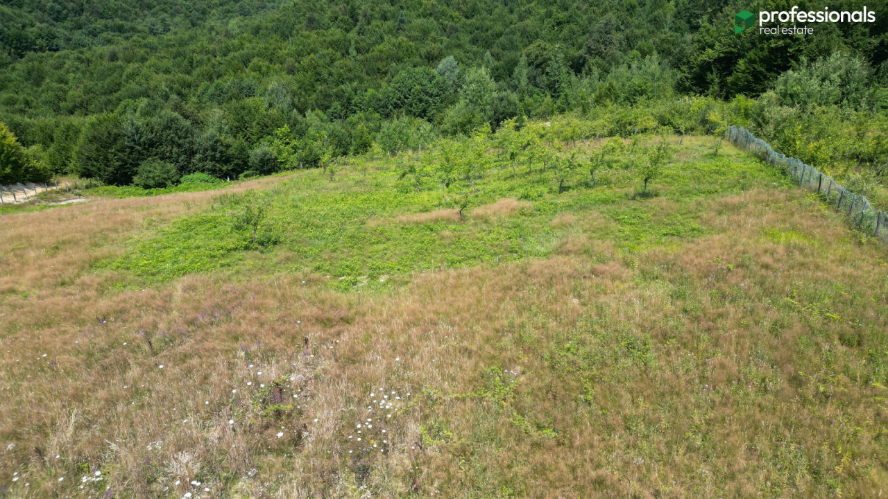 Zemljište Vlakovo Ilidža 6309 m2 16