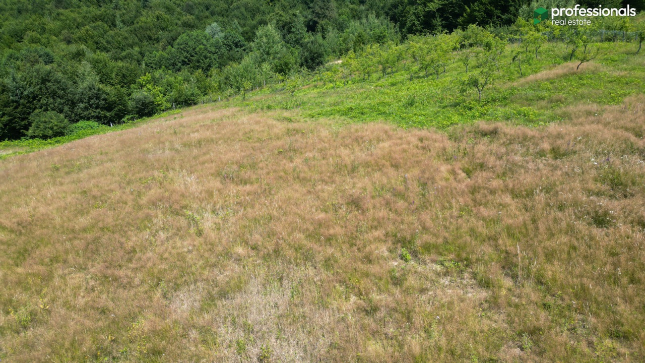 Zemljište Vlakovo Ilidža 6309 m2 18