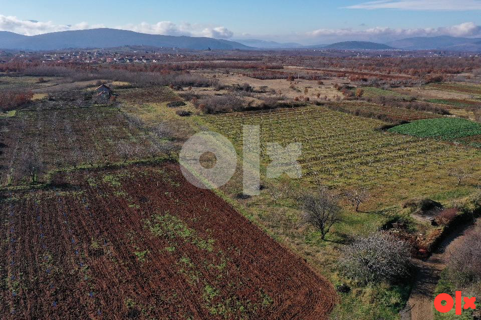 Zemljište Mostar, Dubravska visoravan 5176 m2 3