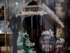 Harry Potter Ukras