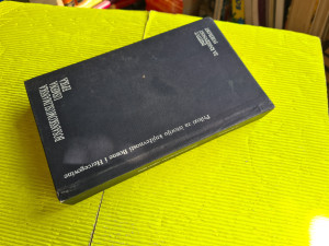 BOSANSKOMUSLIMANSKA USMENA EPIKA, ĐENANA BUTUROVIĆ