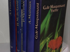 5 KNJIGA IZ EDICIJE FRANCUSKA KNJIŽEVNOST