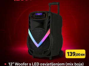 Karaoke Zvučnik NDR-V12 12" s mikrofonom 1200w GARANCIJA