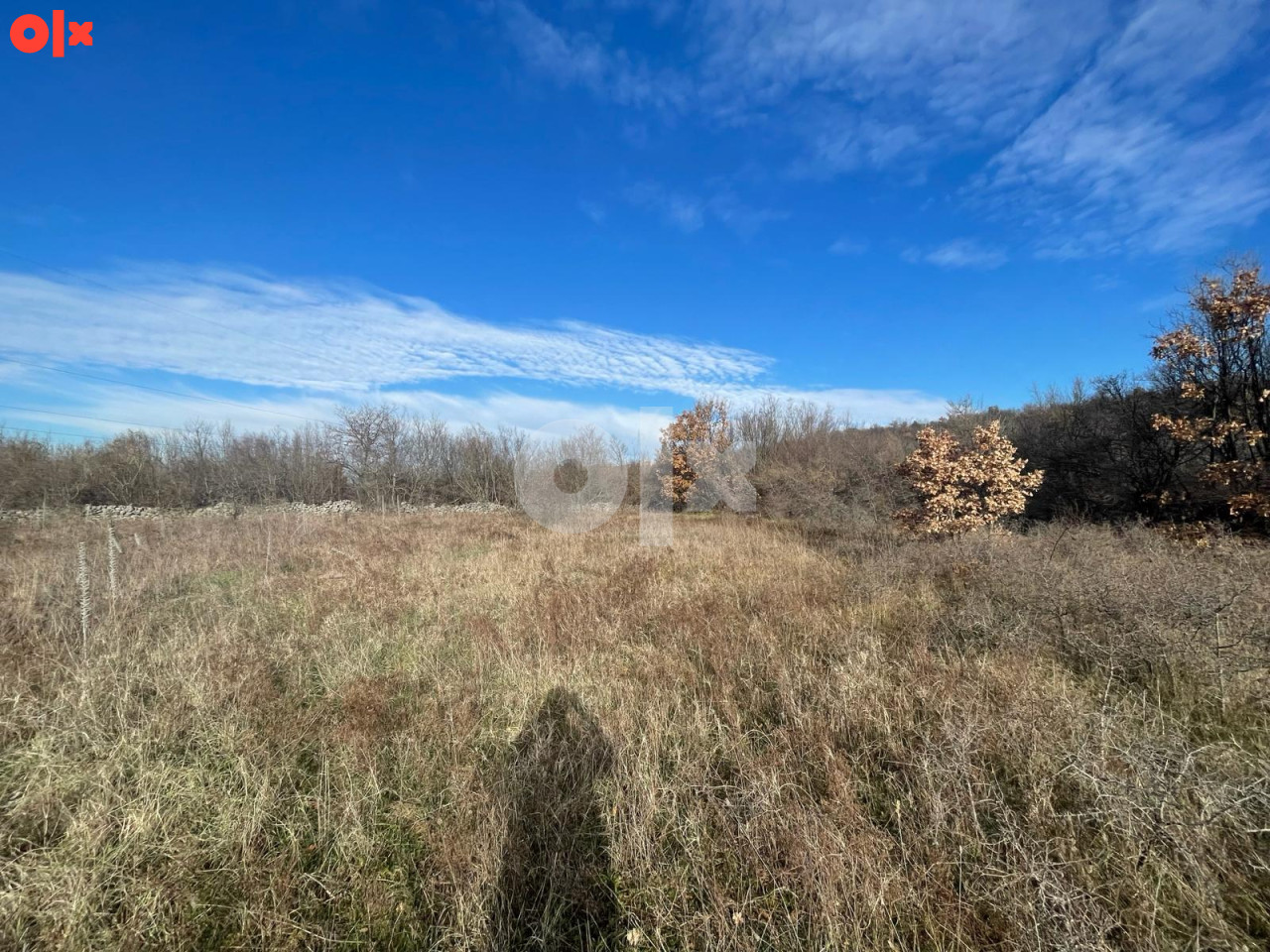 Zemljište Stanojevići 66800m2 3