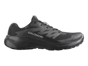 Patike SALOMON Alphaglide GTX Black/Asphalt/Black