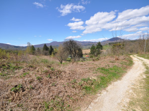 Zemljište  Pazarić- Resnik  2200m2