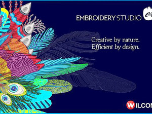 Wilcom Embroidery Studio e4.2 Windows 11 24H2