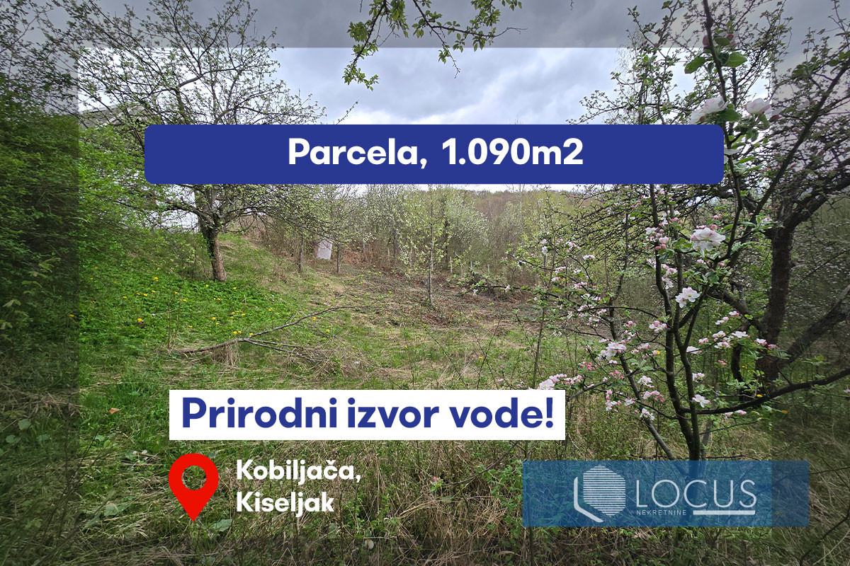 LOCUS: Zemljište uz glavnu saobraćajnicu, Kobiljača