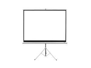 Platno za projektor Everest TPP-200 200x200 cm sa postoljem
