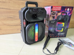 KARAOKE ZVUČNIK 8" GY-805