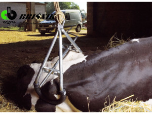 Okvir za podizanje krava podizač krava 900 kg Kamer