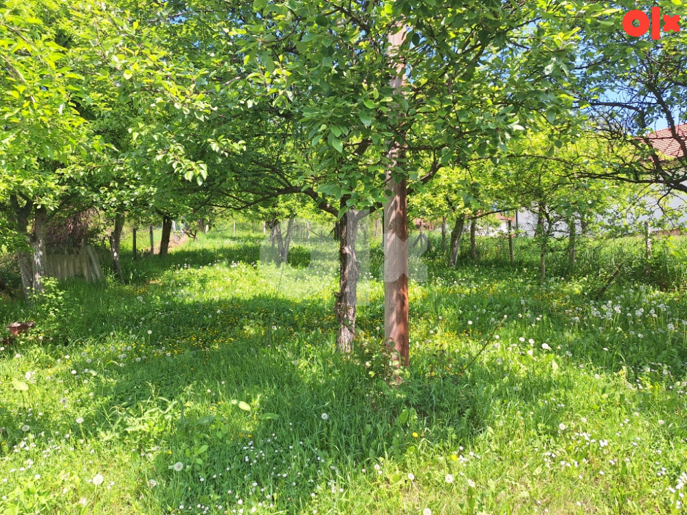 Kuća Lopare, Jablanica 3