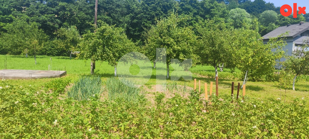 Biro HM /Kuća Hadžići photo 4