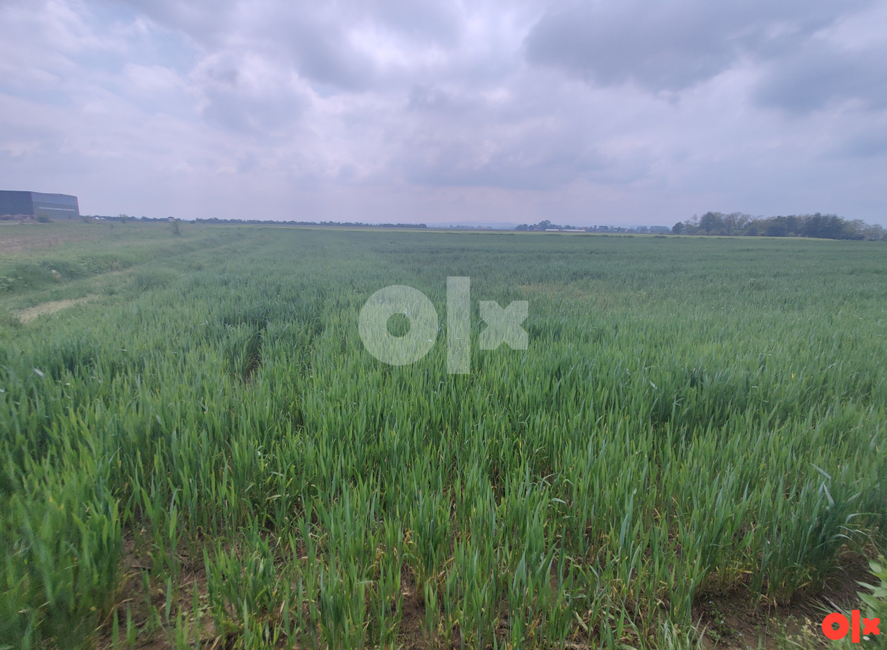 Zemljište Gradiška, Nova Topola, Agroindustrijska zona 2