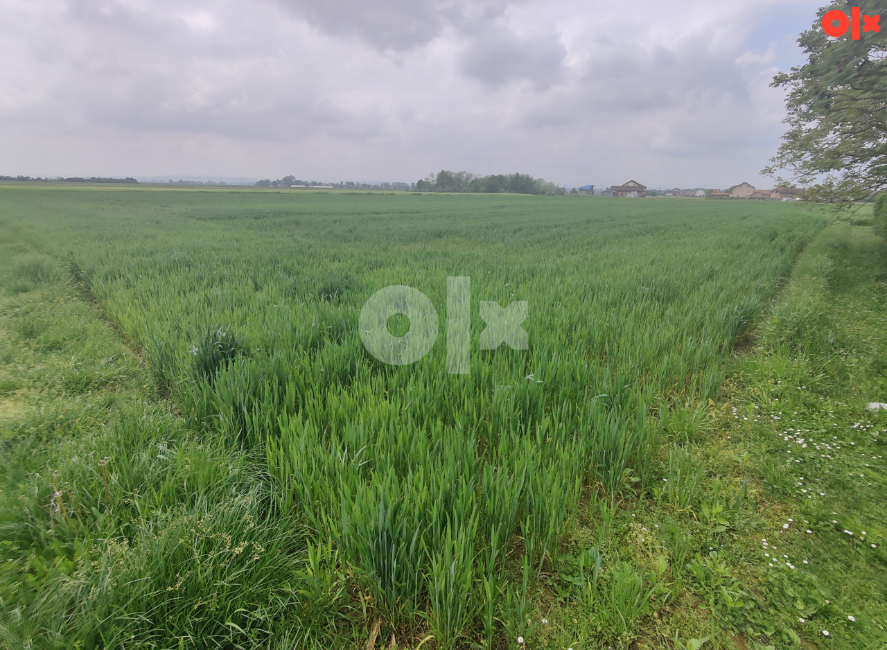 Zemljište Gradiška, Nova Topola, Agroindustrijska zona 3