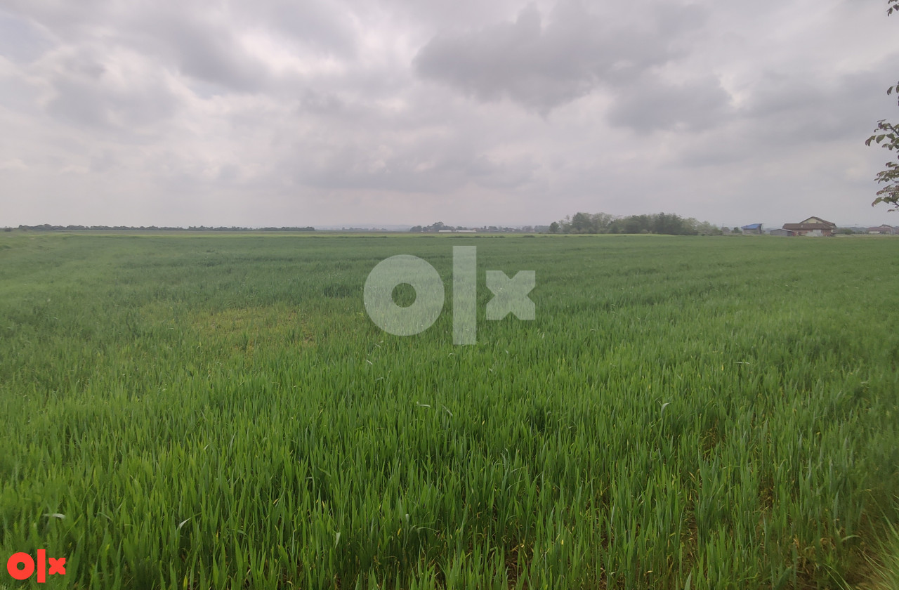 Zemljište Gradiška, Nova Topola, Agroindustrijska zona 4