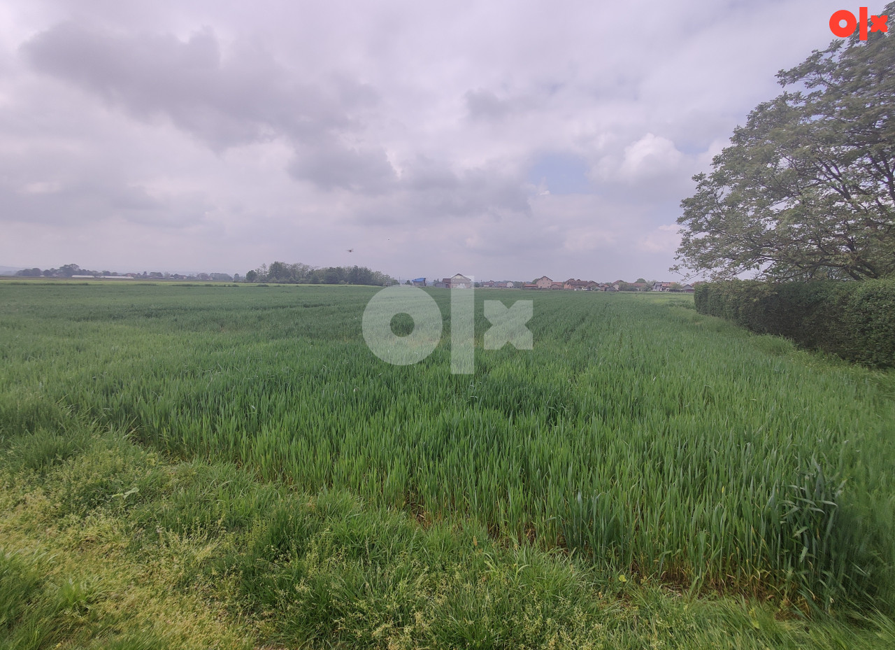 Zemljište Gradiška, Nova Topola, Agroindustrijska zona 5