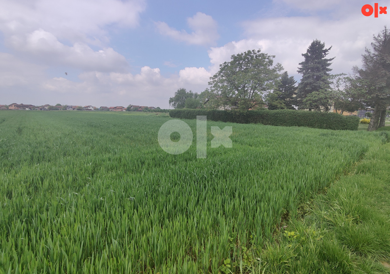 Zemljište Gradiška, Nova Topola, Agroindustrijska zona 6