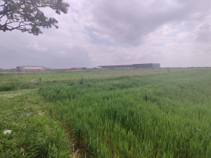 Zemljište Gradiška, Nova Topola, Agroindustrijska zona