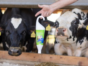 Sredstvo za njegu vimena KerbaMint 500ml