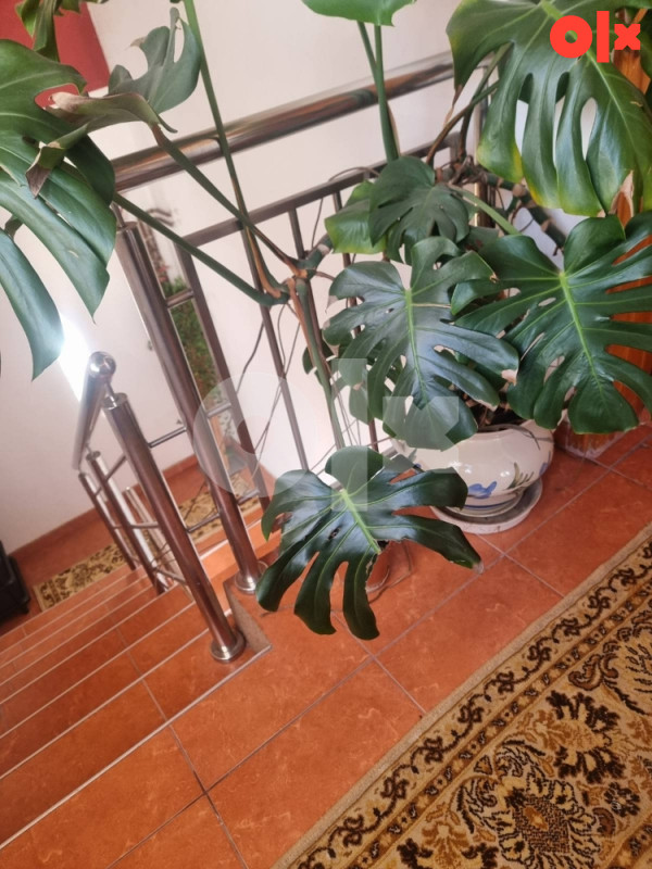 (IZNAJMLJIVANJE) TROSOBAN STAN 60m2 Novogradnja  tel:061/771-711